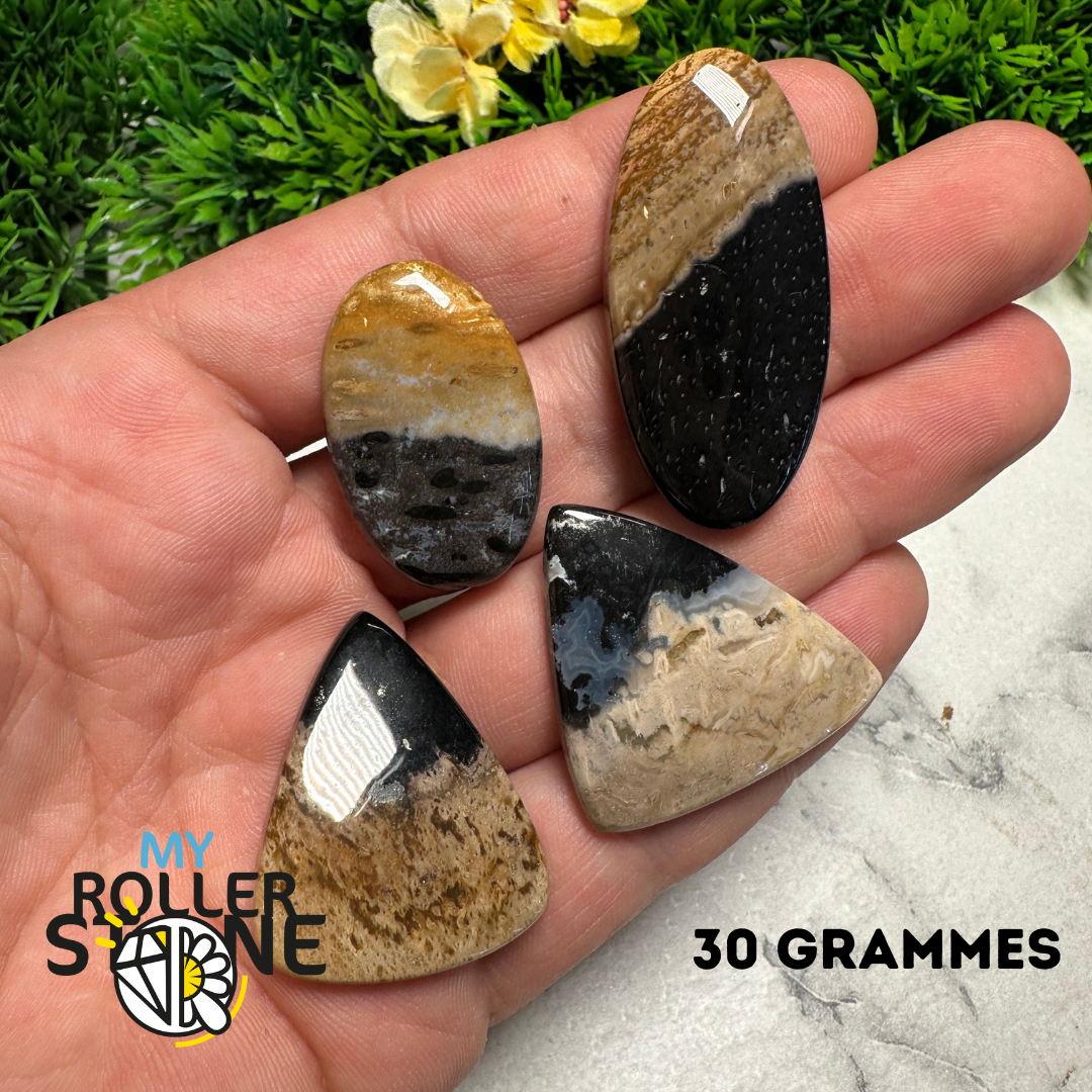 Cabochons Agate Racine de Palmier forme libre