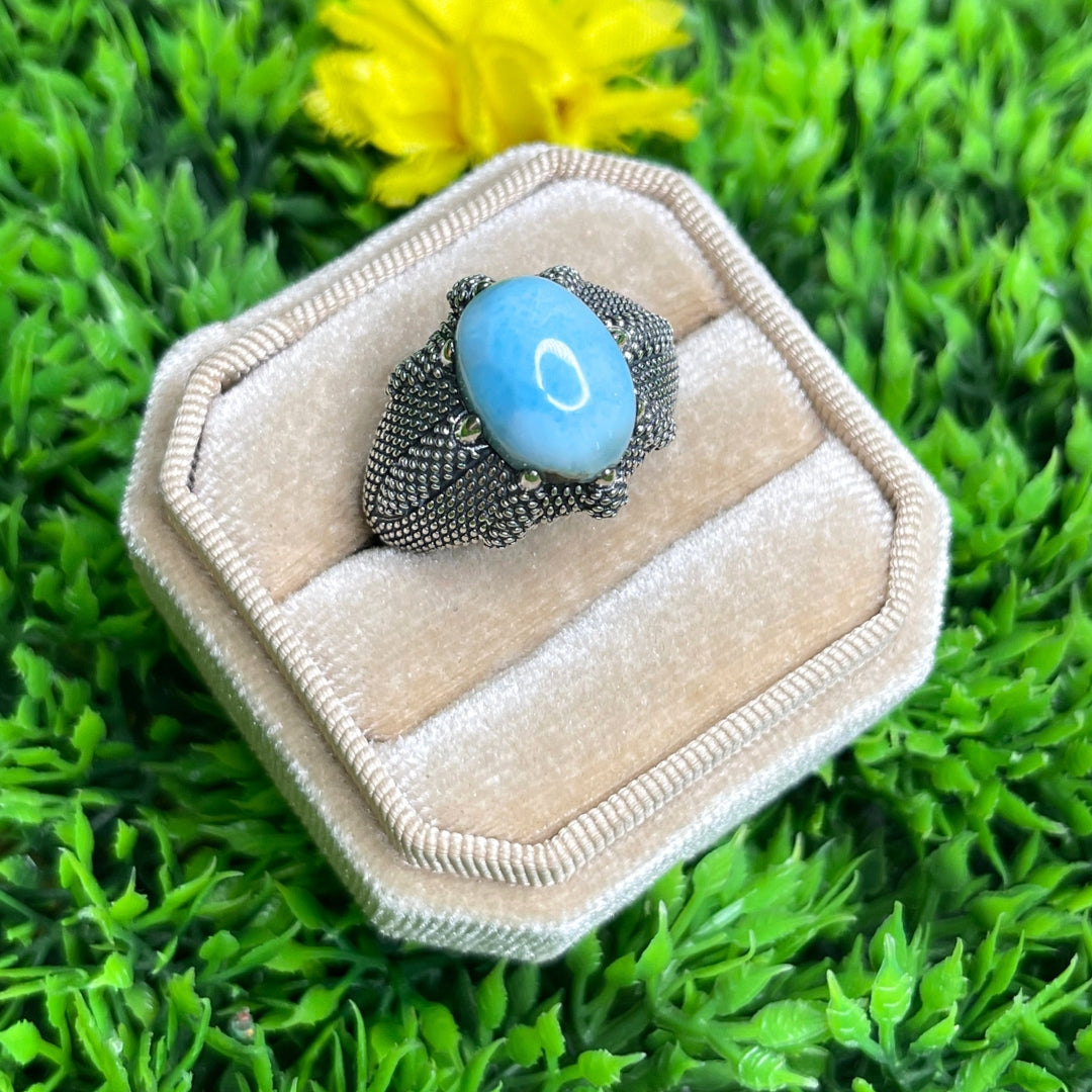 Chevalière Argent Larimar Griffe #2