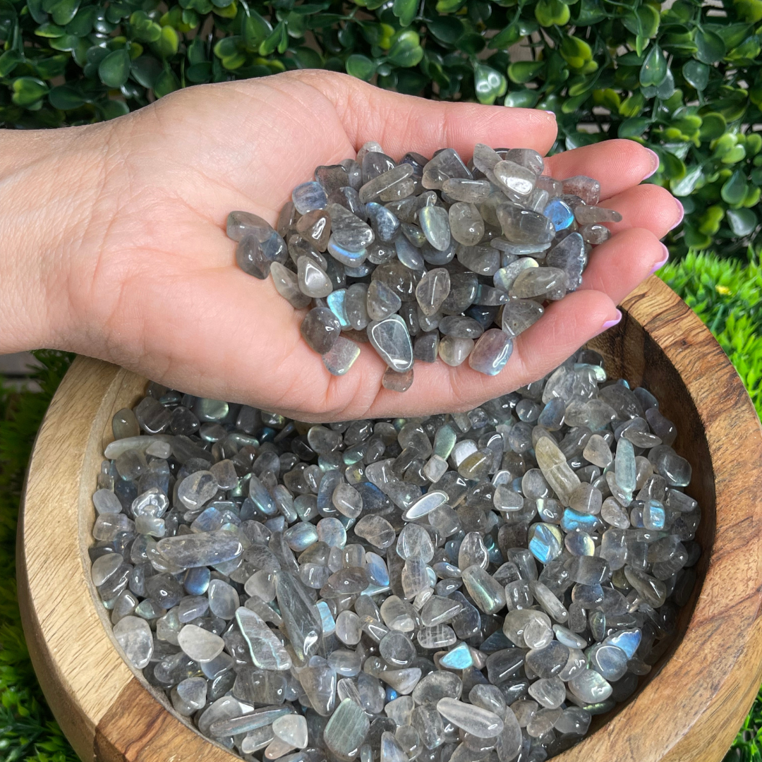 Chips Labradorite non percées