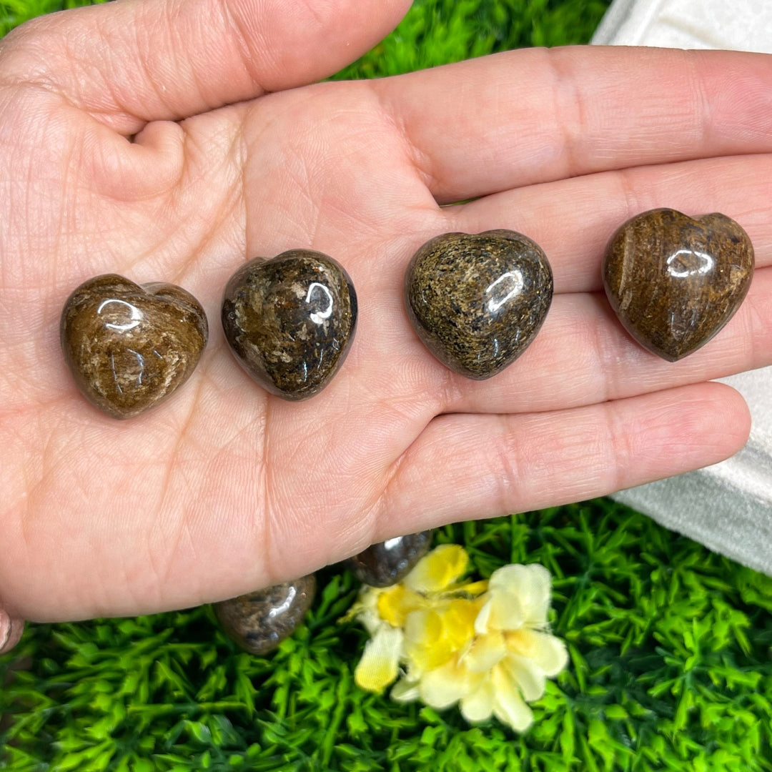 Coeur Bronzite