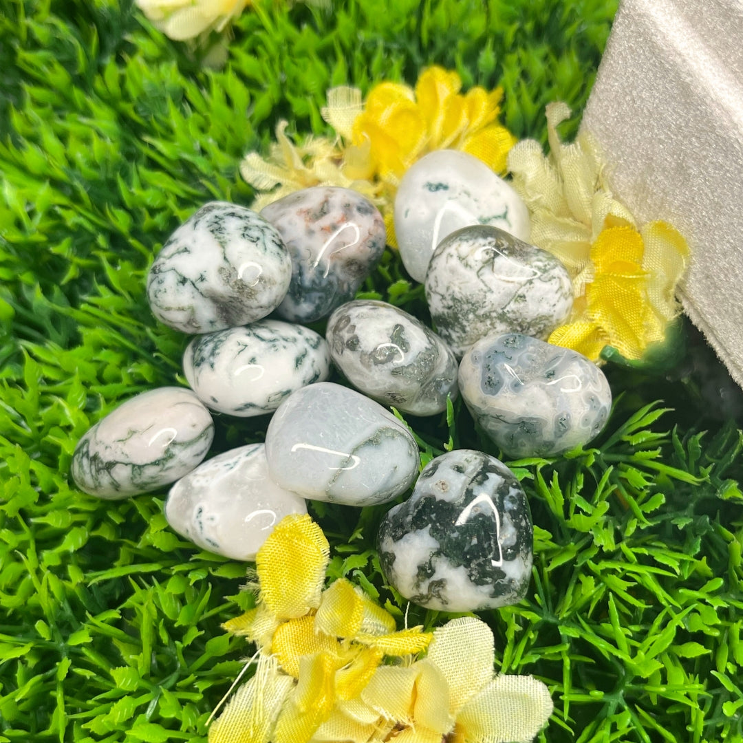 Coeur en Agate Arbre