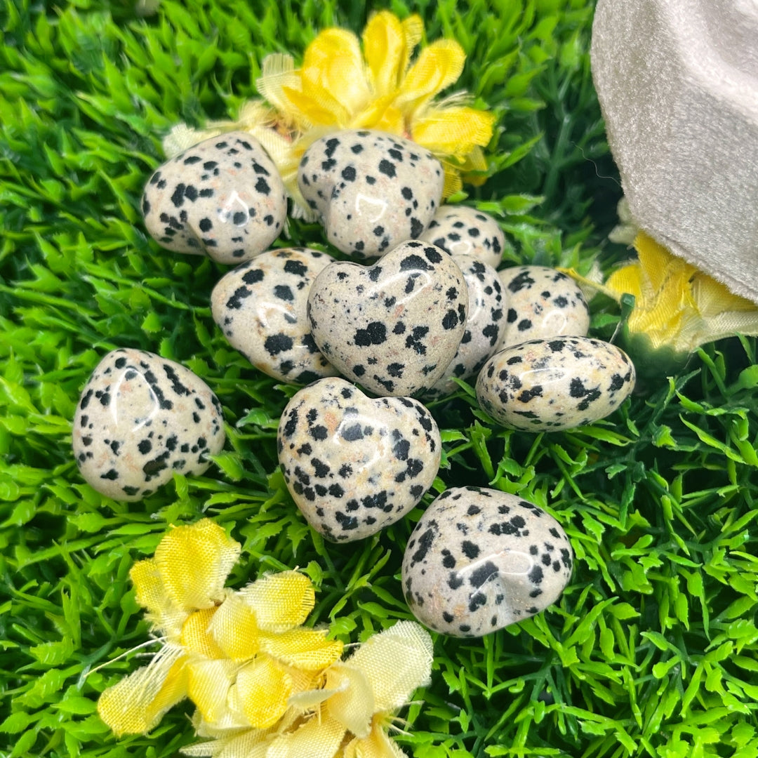 Coeur en Jaspe dalmatien