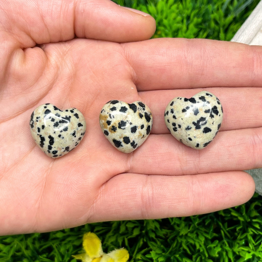 Coeur en Jaspe dalmatien