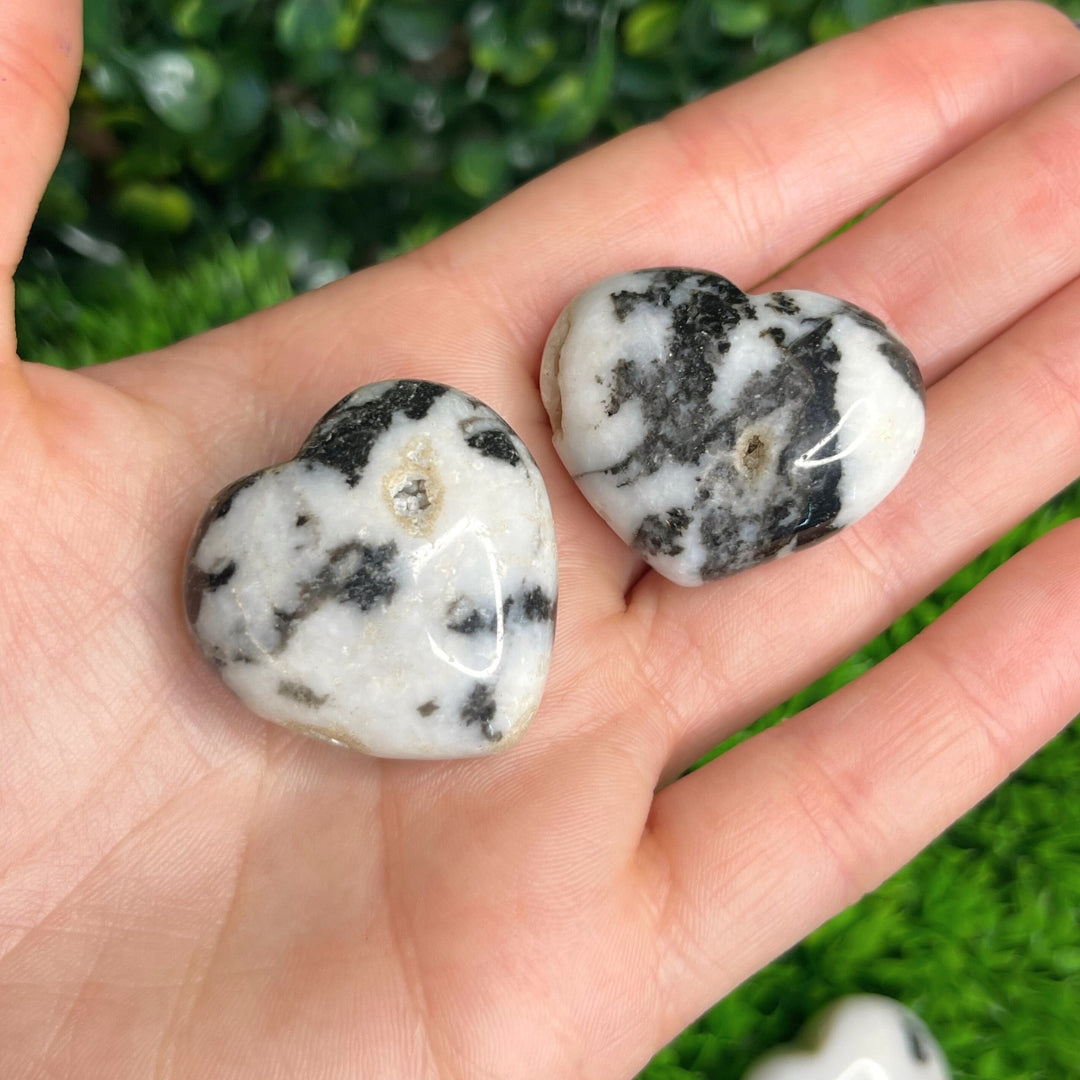 Coeur Jaspe zebre