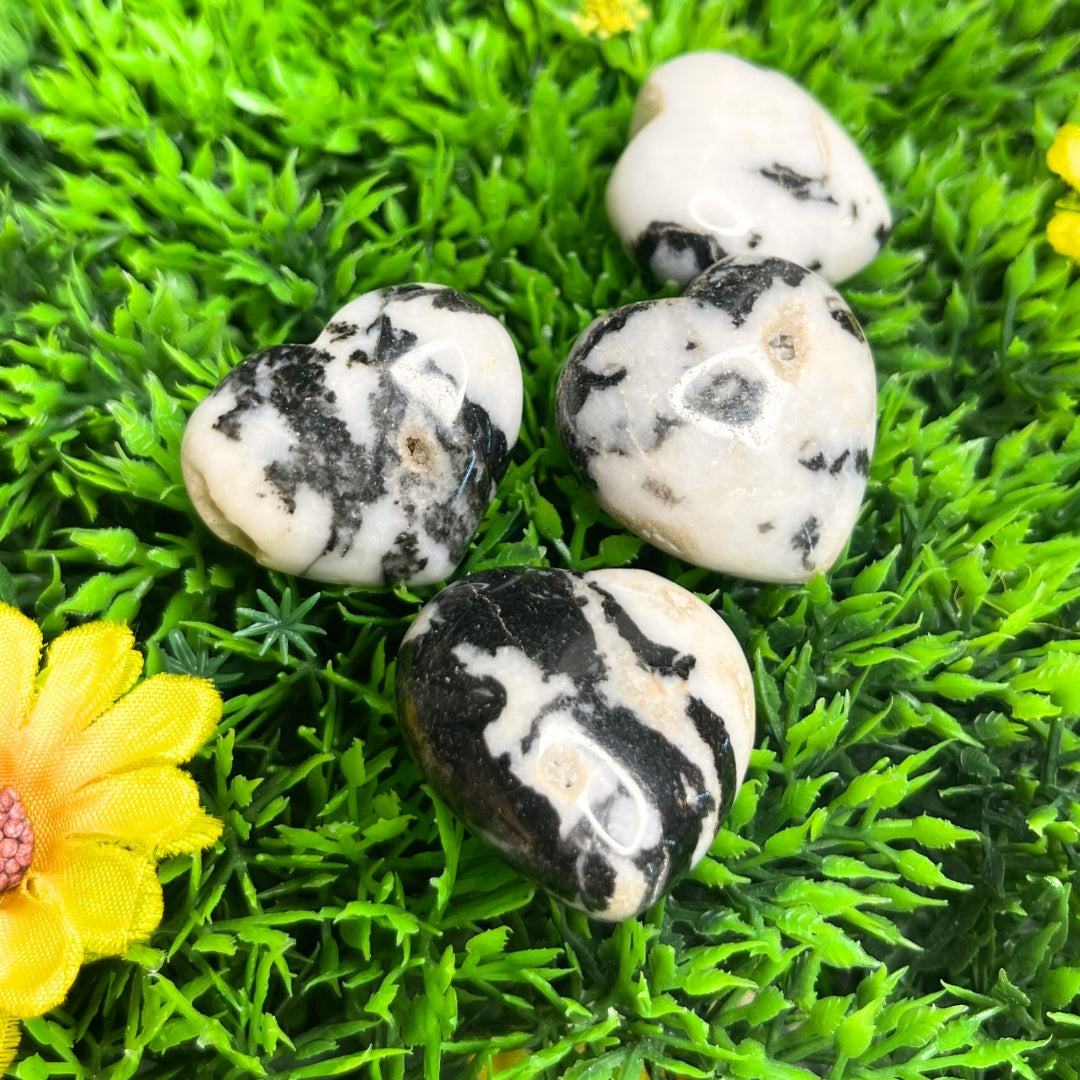 Coeur Jaspe zebre