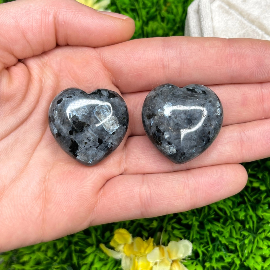 Coeur Larvikite