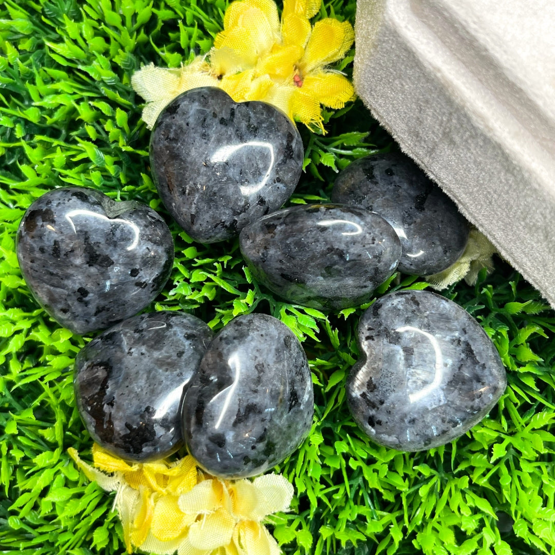 Coeur Larvikite