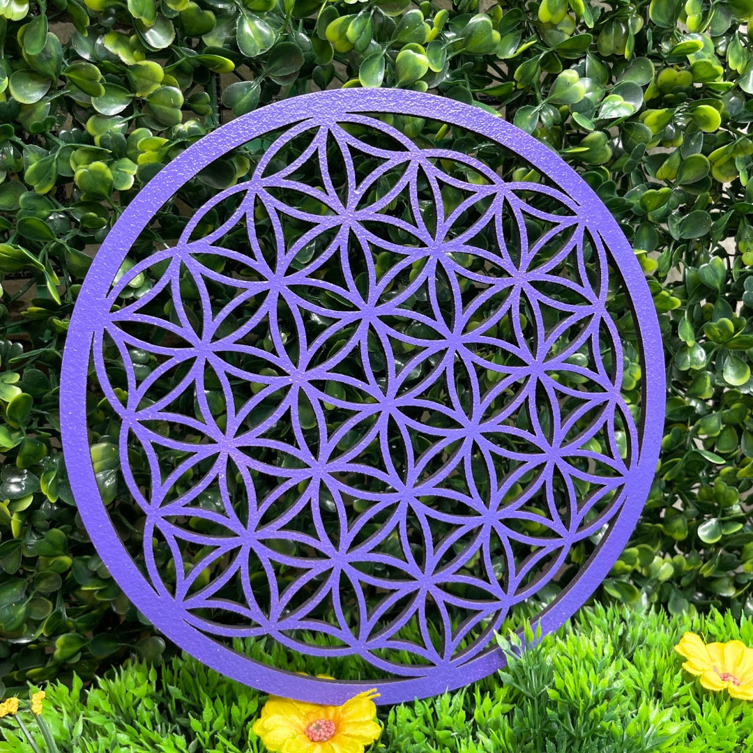 Fleur de Vie Colorée en Bois Violet