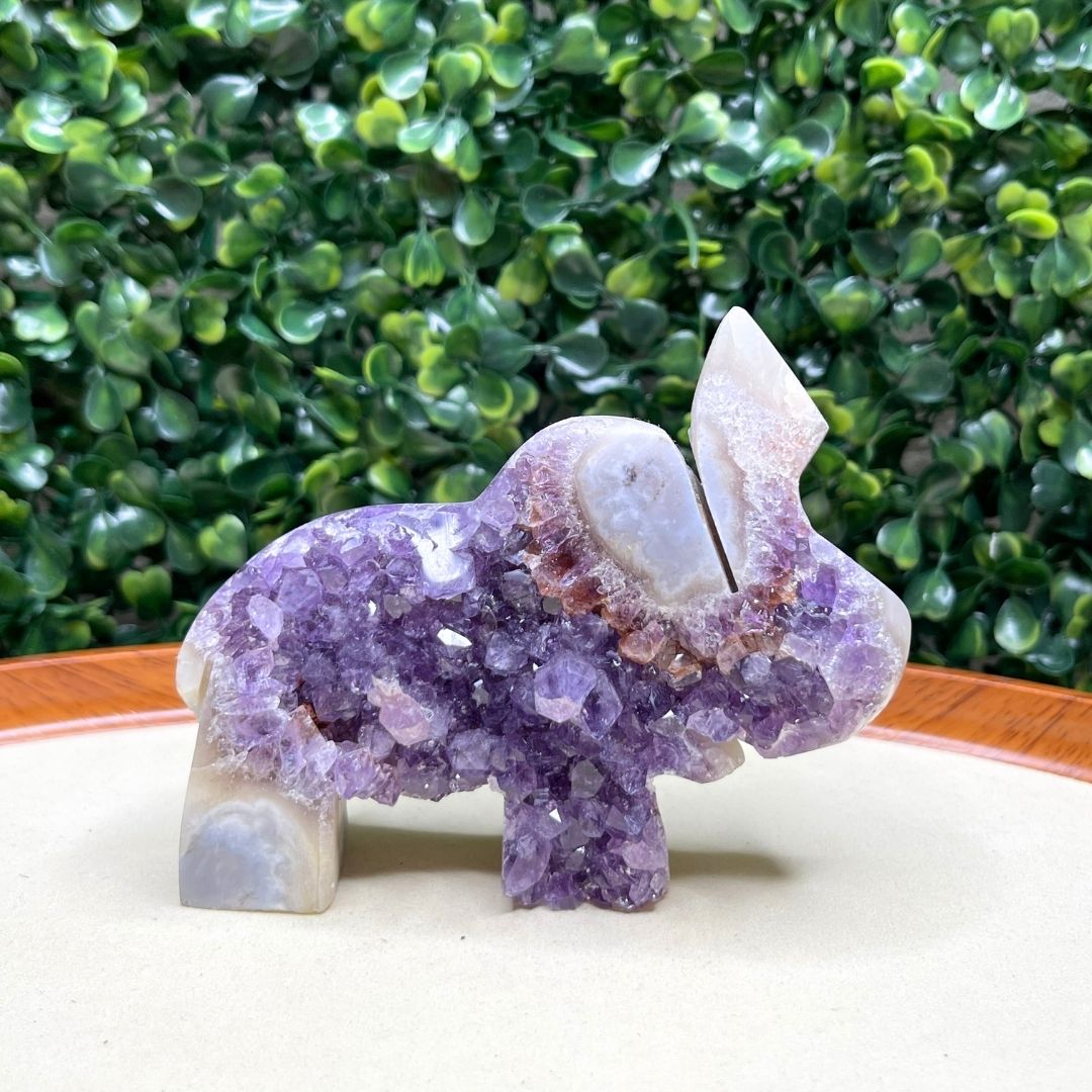 Géode Améthyste Eléphant #1