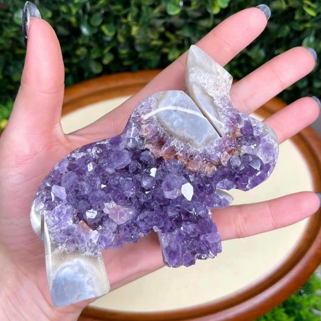 Géode Améthyste Eléphant #1