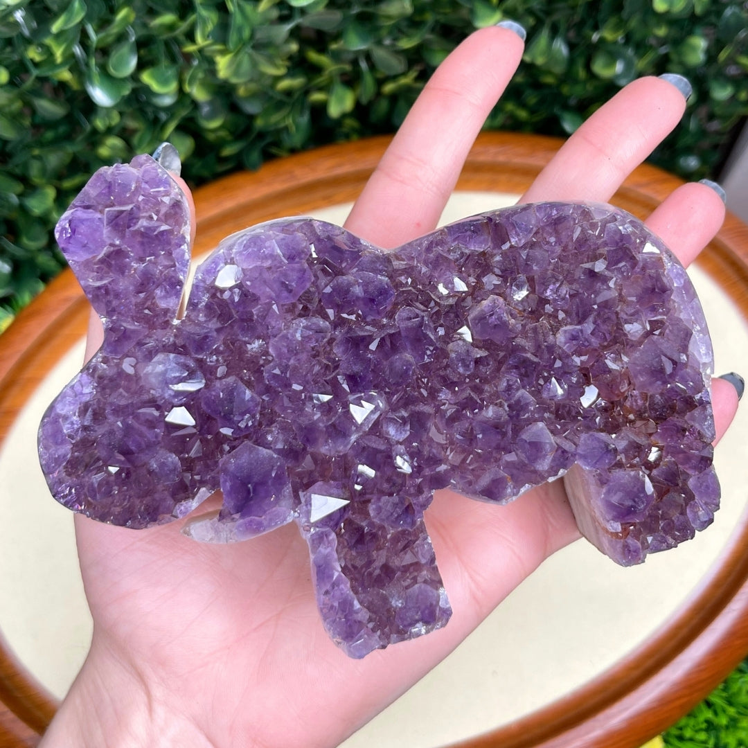 Géode Améthyste Eléphant #2 - Pierres et fossiles