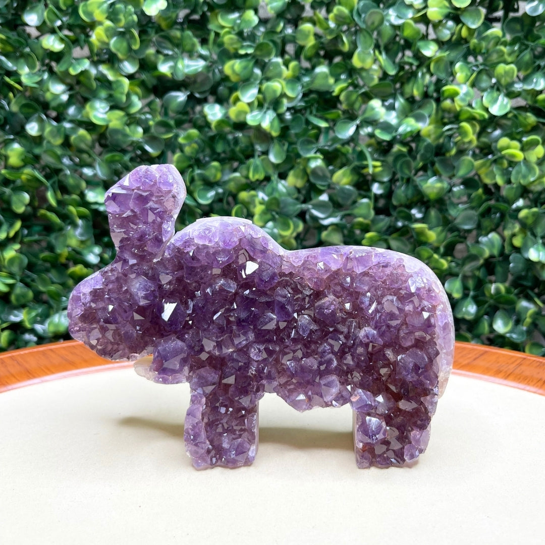 Géode Améthyste Eléphant #2 - Pierres et fossiles