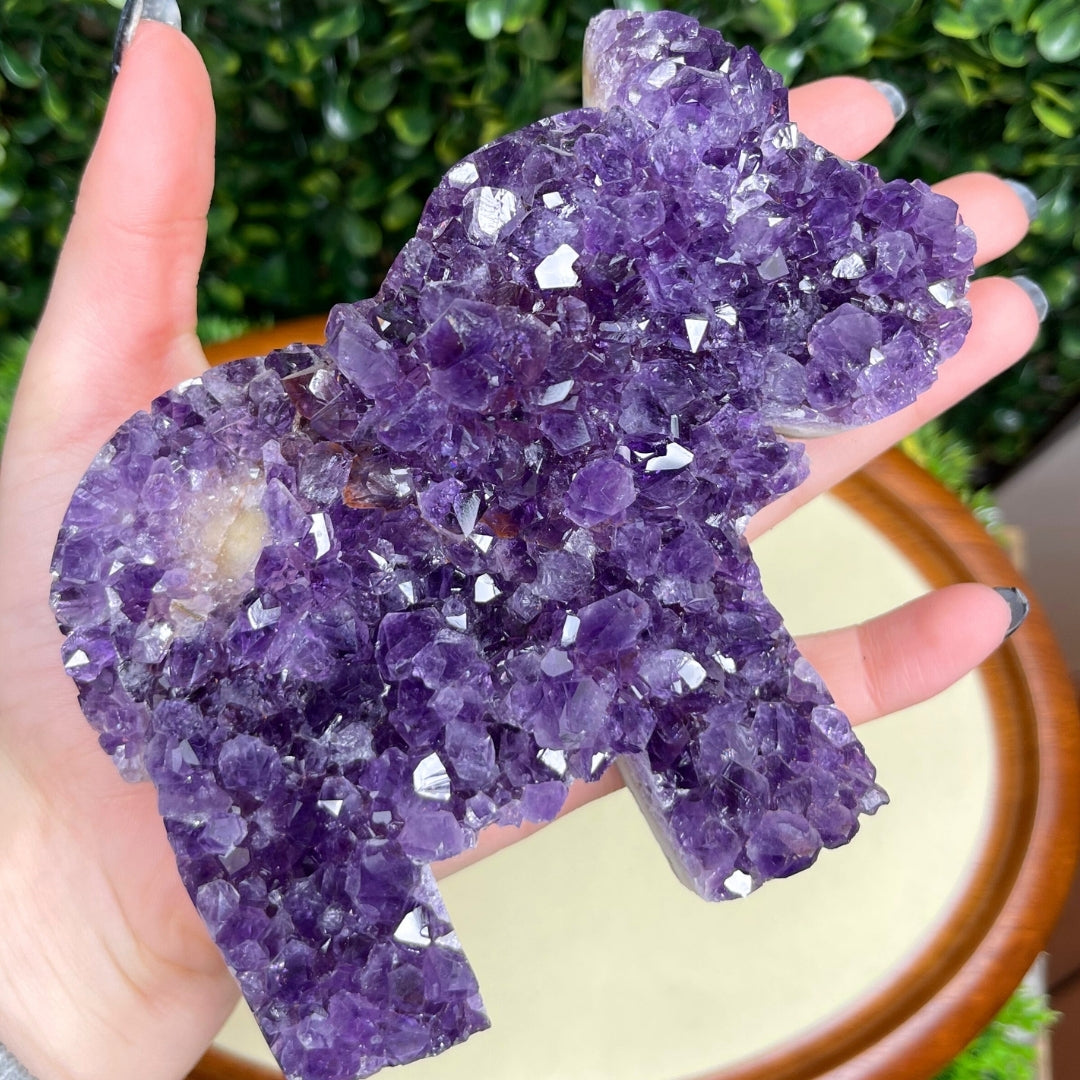 Géode Améthyste Eléphant #4