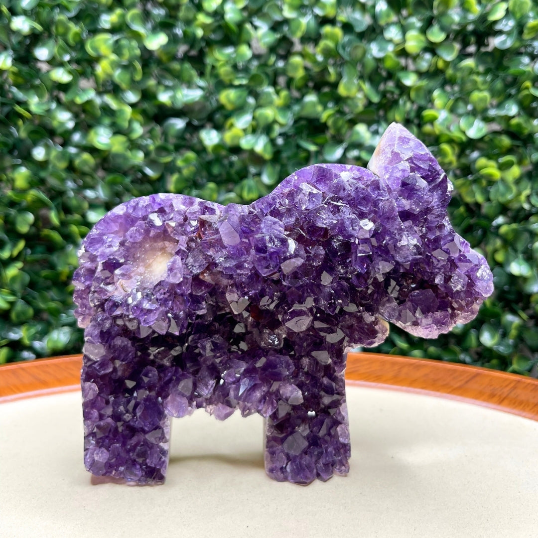 Géode Améthyste Eléphant #4