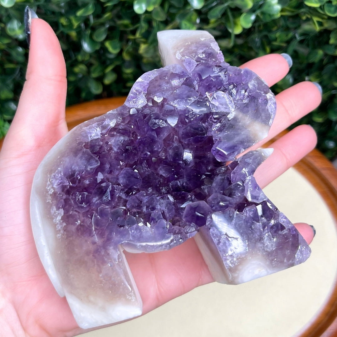 Géode Améthyste Eléphant #5