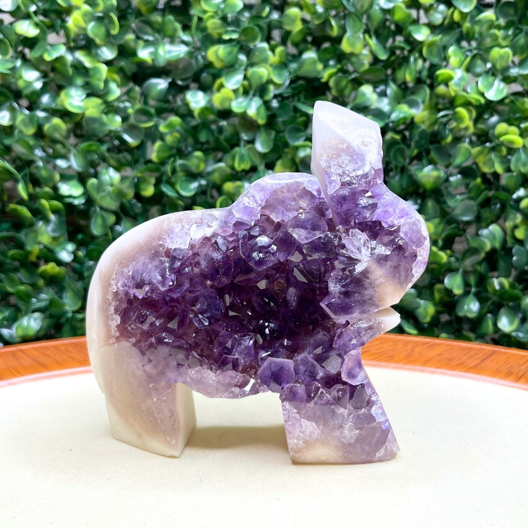 Géode Améthyste Eléphant #5