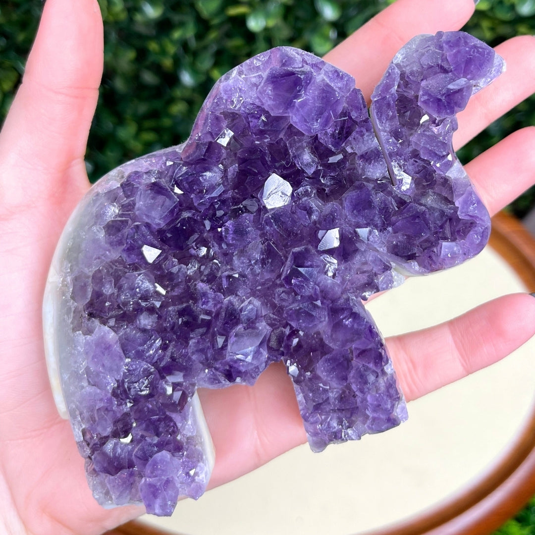Géode Améthyste Eléphant #6