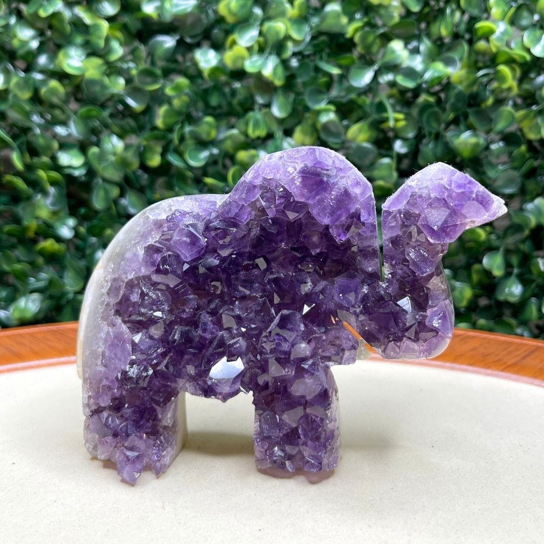 Géode Améthyste Eléphant #6