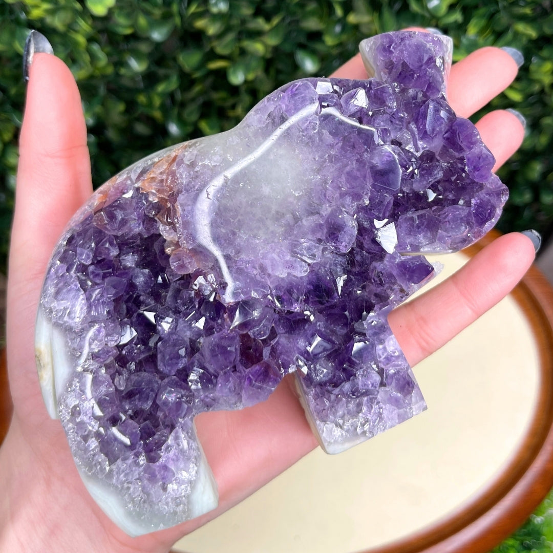 Géode Améthyste Eléphant #7