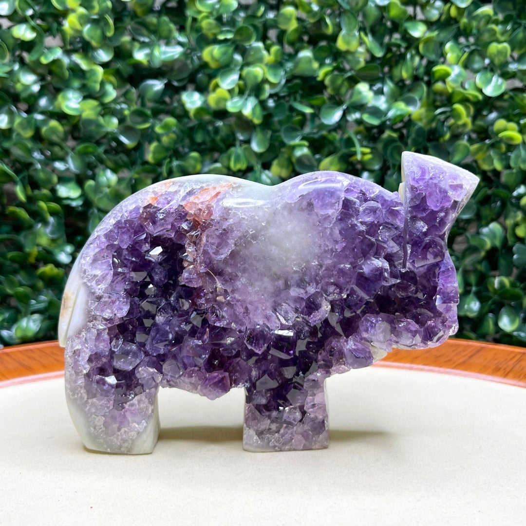 Géode Améthyste Eléphant #7