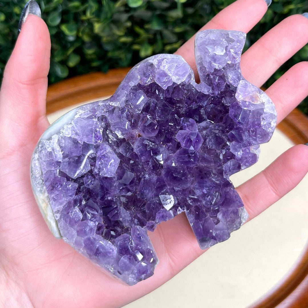 Géode Améthyste Eléphant #9