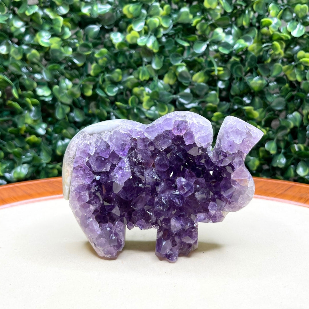 Géode Améthyste Eléphant #9