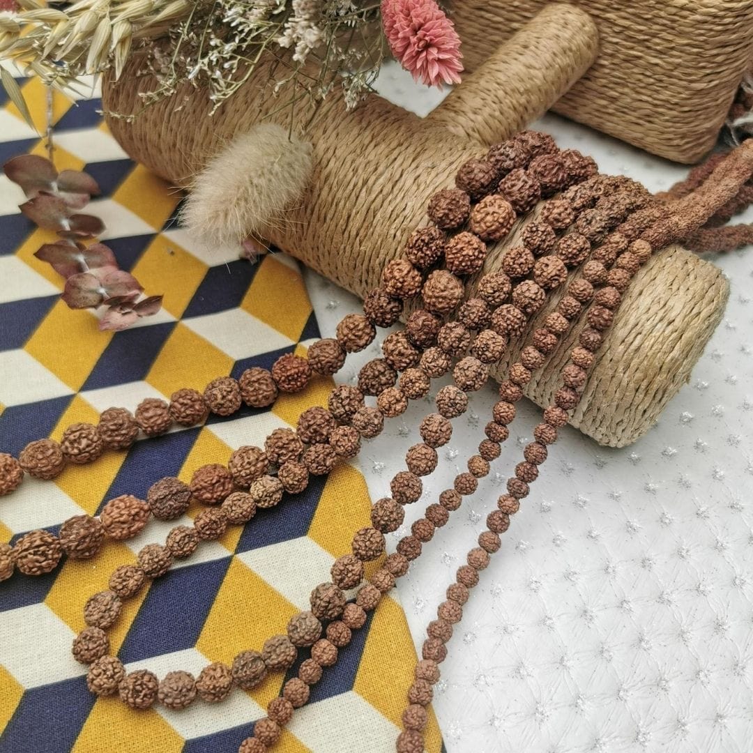 perle Graine de rudraksha