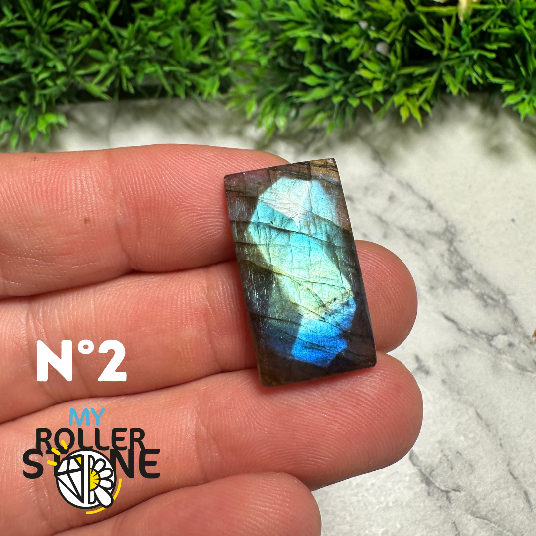 Pendentifs Labradorite forme Libre Facettée