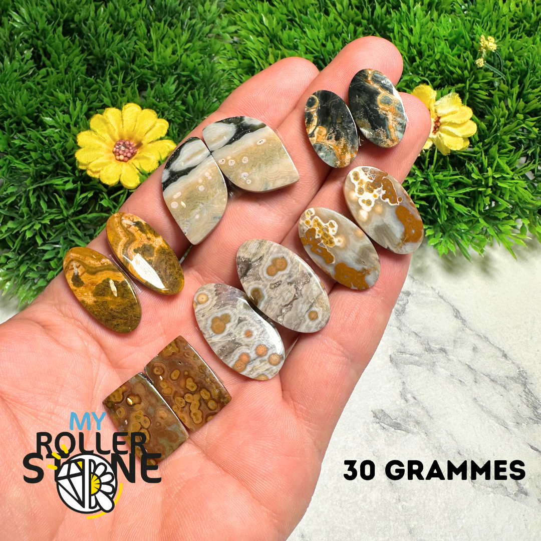 Paire de Cabochons Jaspe Océan