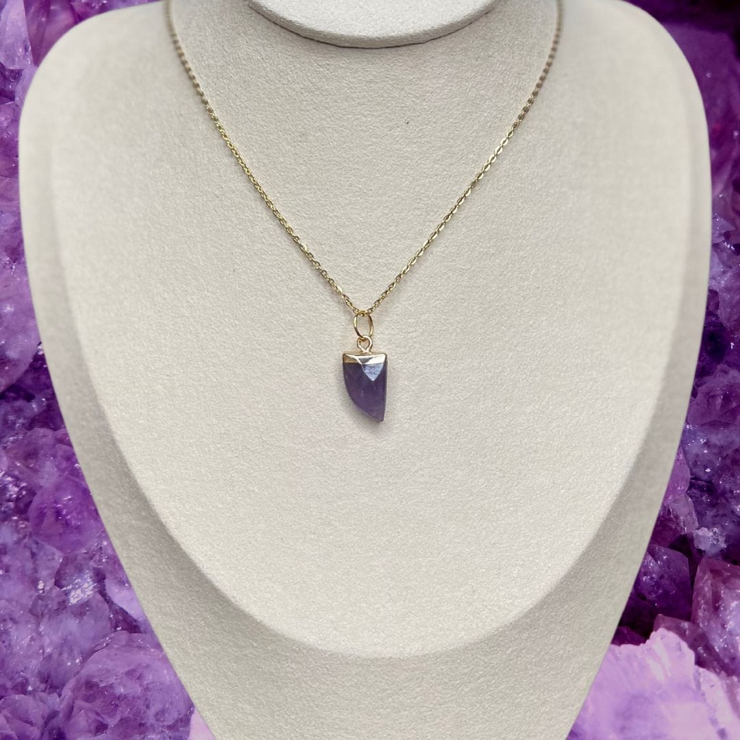 Pendentif Améthyste griffe