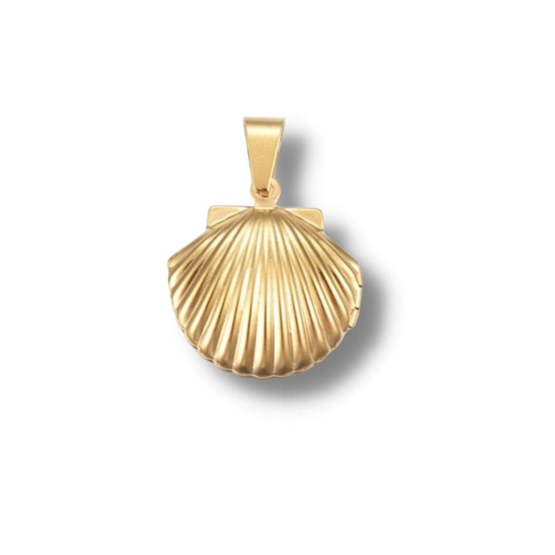 Pendentif avec photo coquille st jaque - Breloques et pendentifs