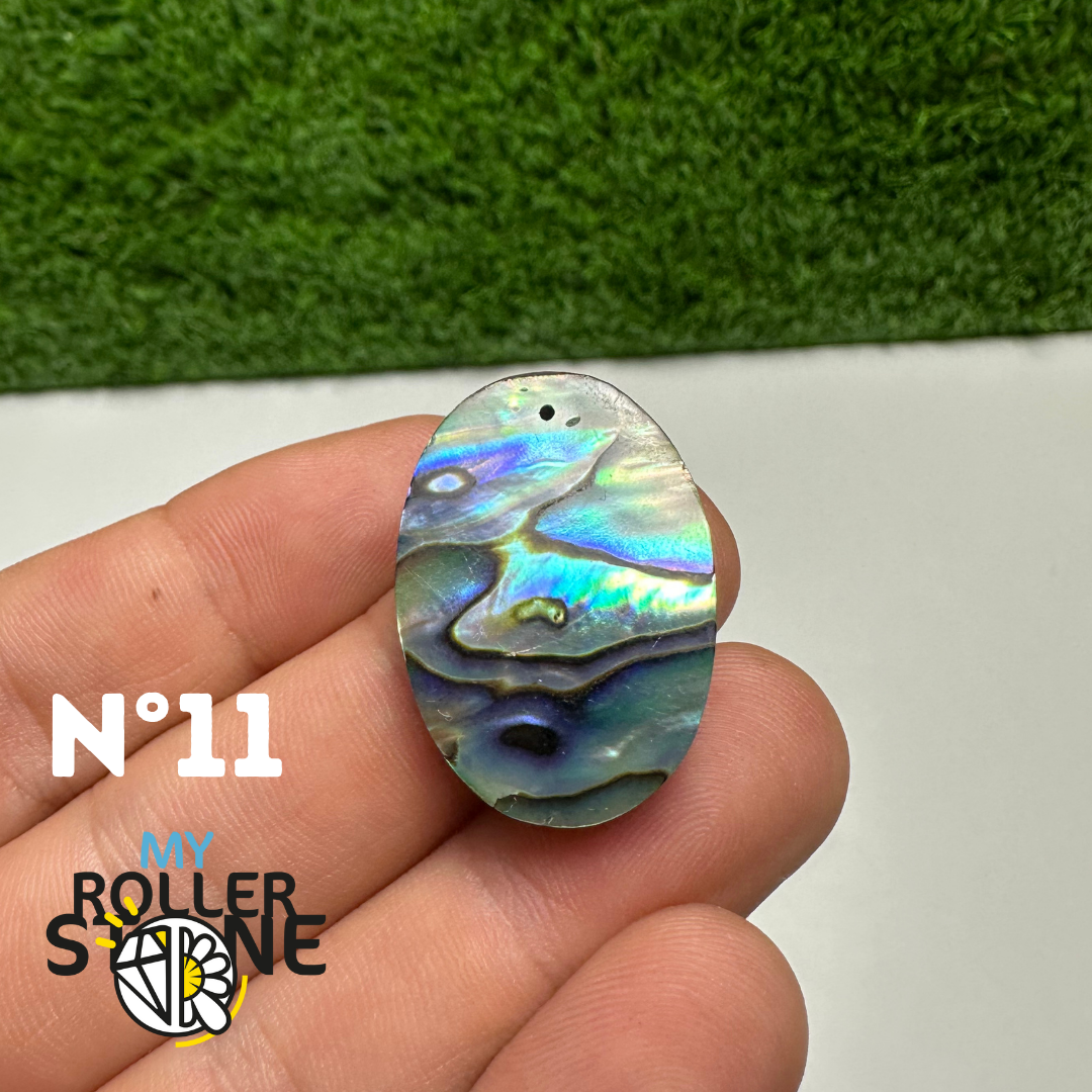 Pendentifs en Abalone Forme Libre 5A - 11