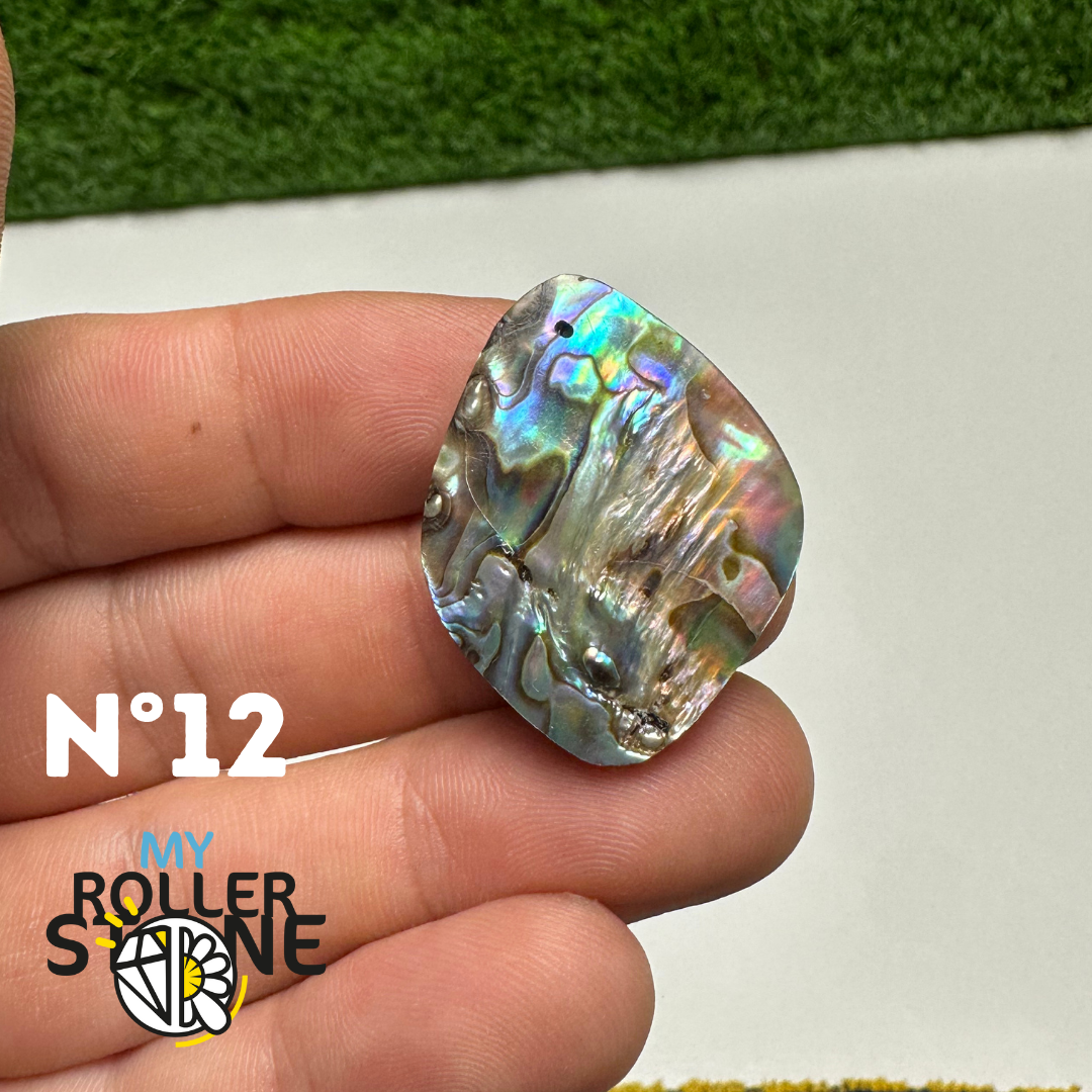 Pendentifs en Abalone Forme Libre 5A - 12