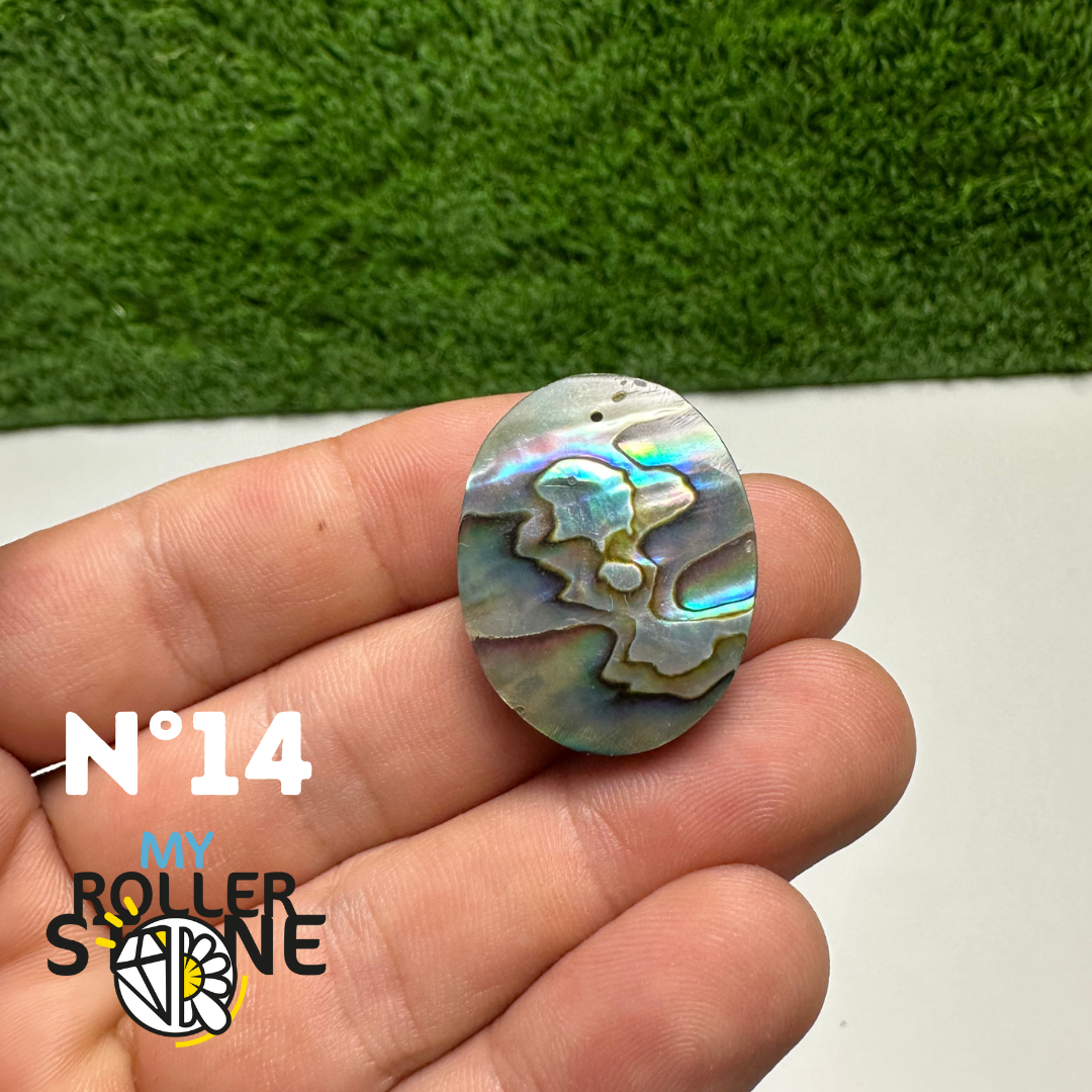 Pendentifs en Abalone Forme Libre 5A - 14
