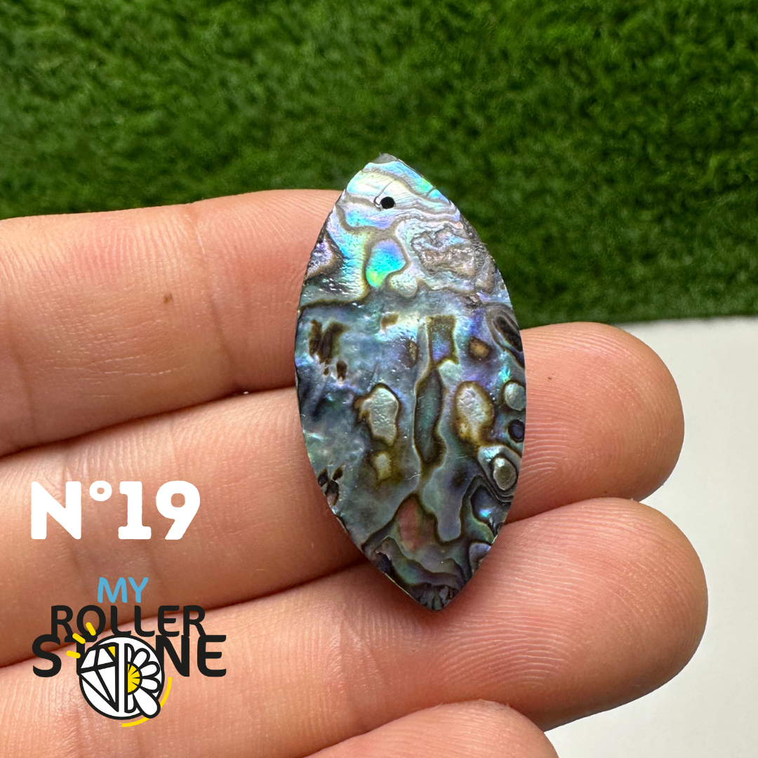 Pendentifs en Abalone Forme Libre 5A - 19