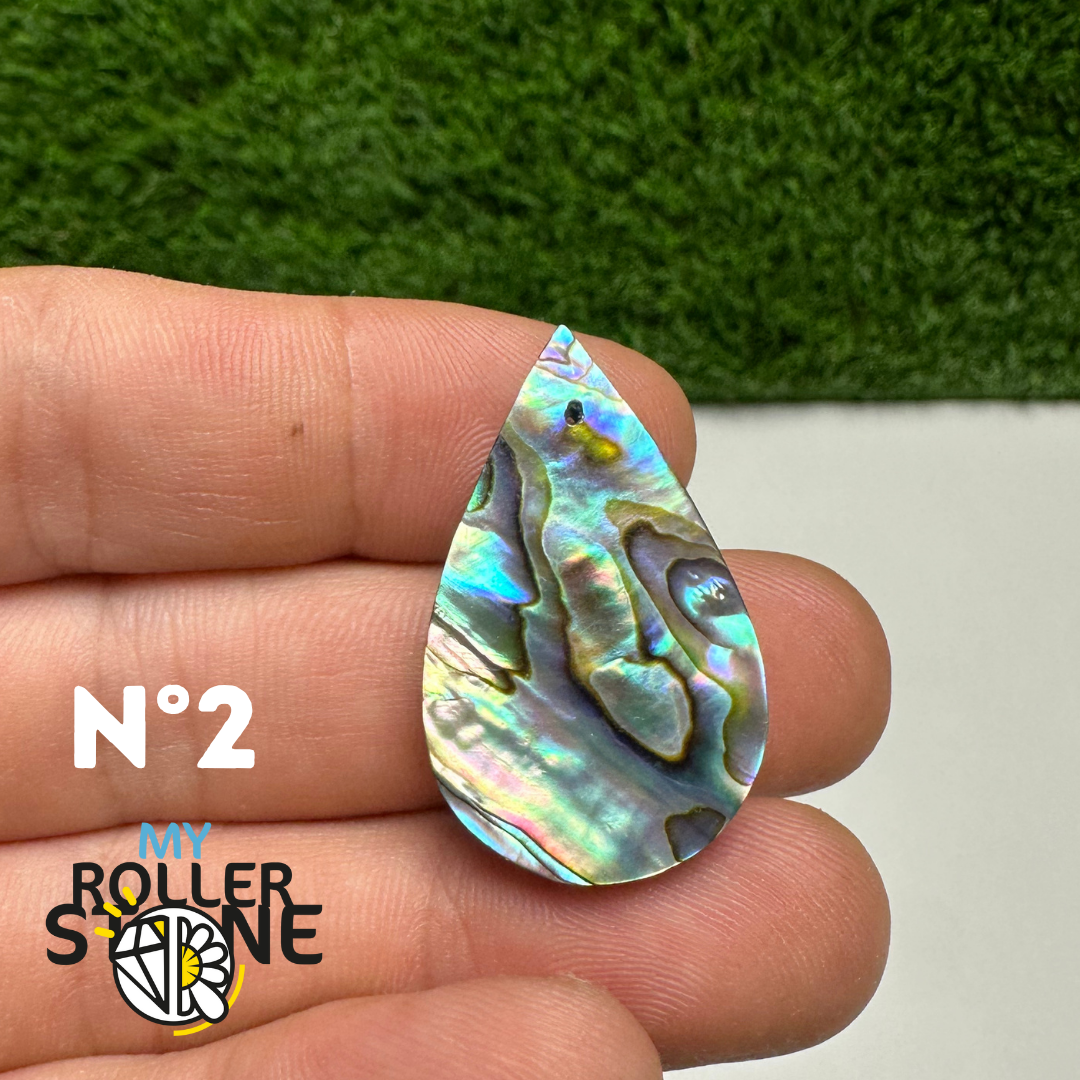 Pendentifs en Abalone Forme Libre 5A - 2