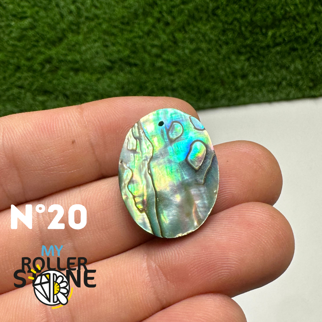 Pendentifs en Abalone Forme Libre 5A - 20