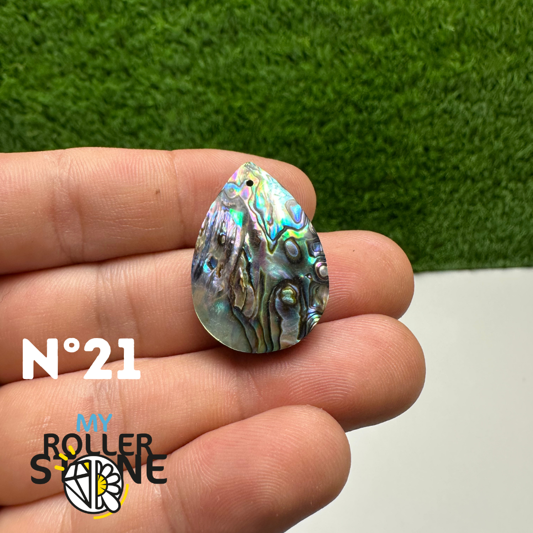 Pendentifs en Abalone Forme Libre 5A - 21