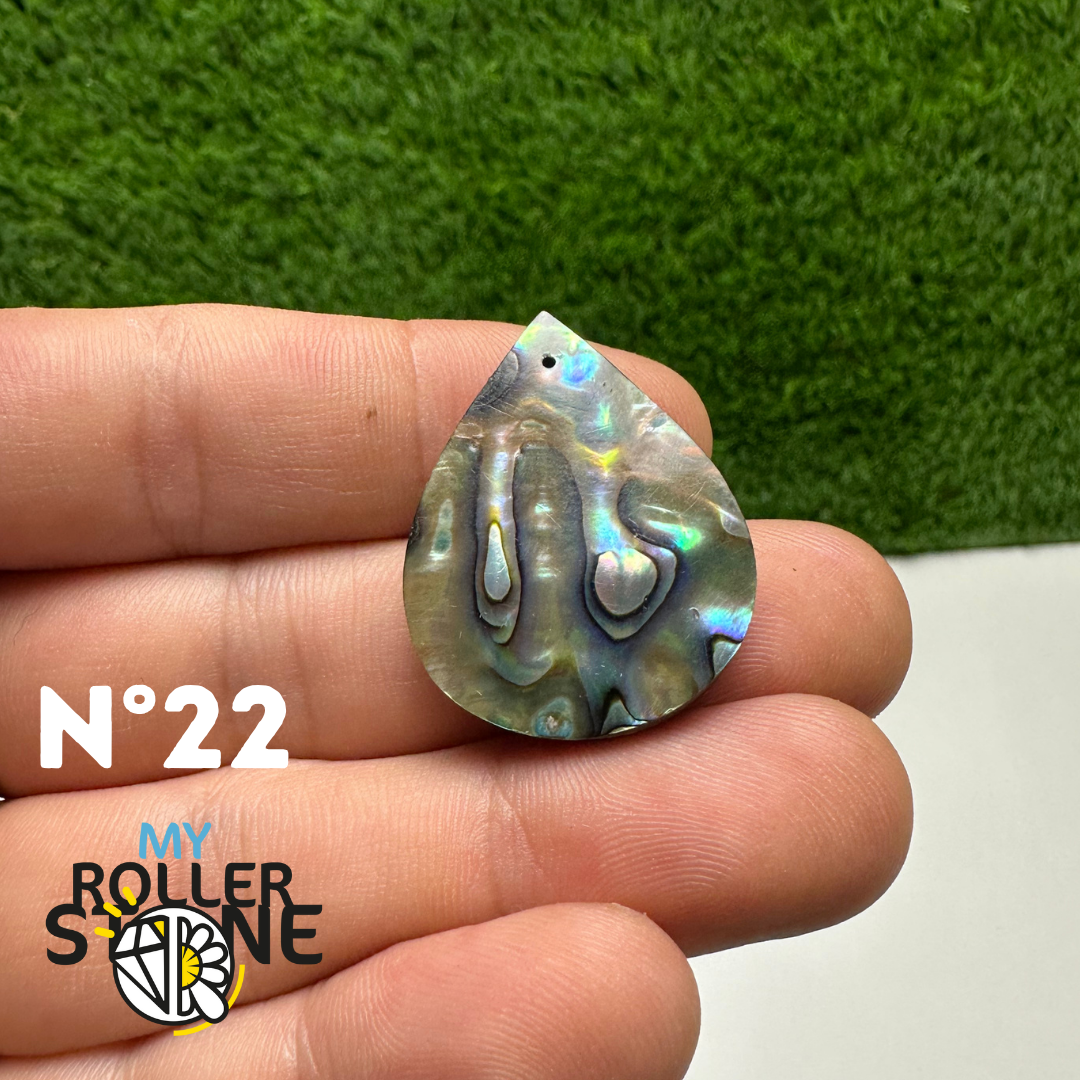 Pendentifs en Abalone Forme Libre 5A - 22