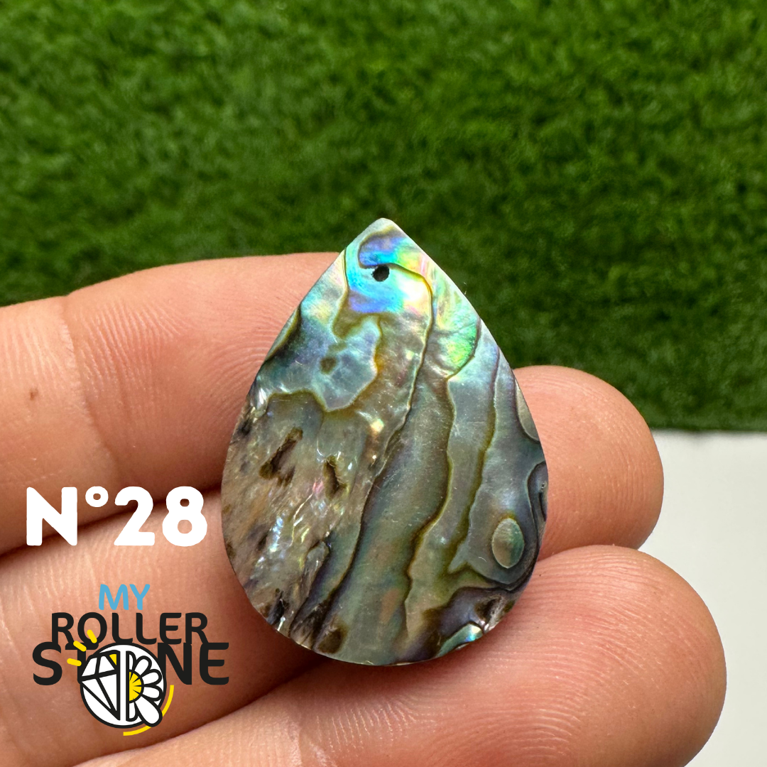 Pendentifs en Abalone Forme Libre 5A - 28