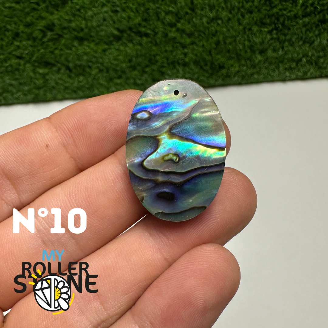 Pendentifs en Abalone Forme Libre 5A