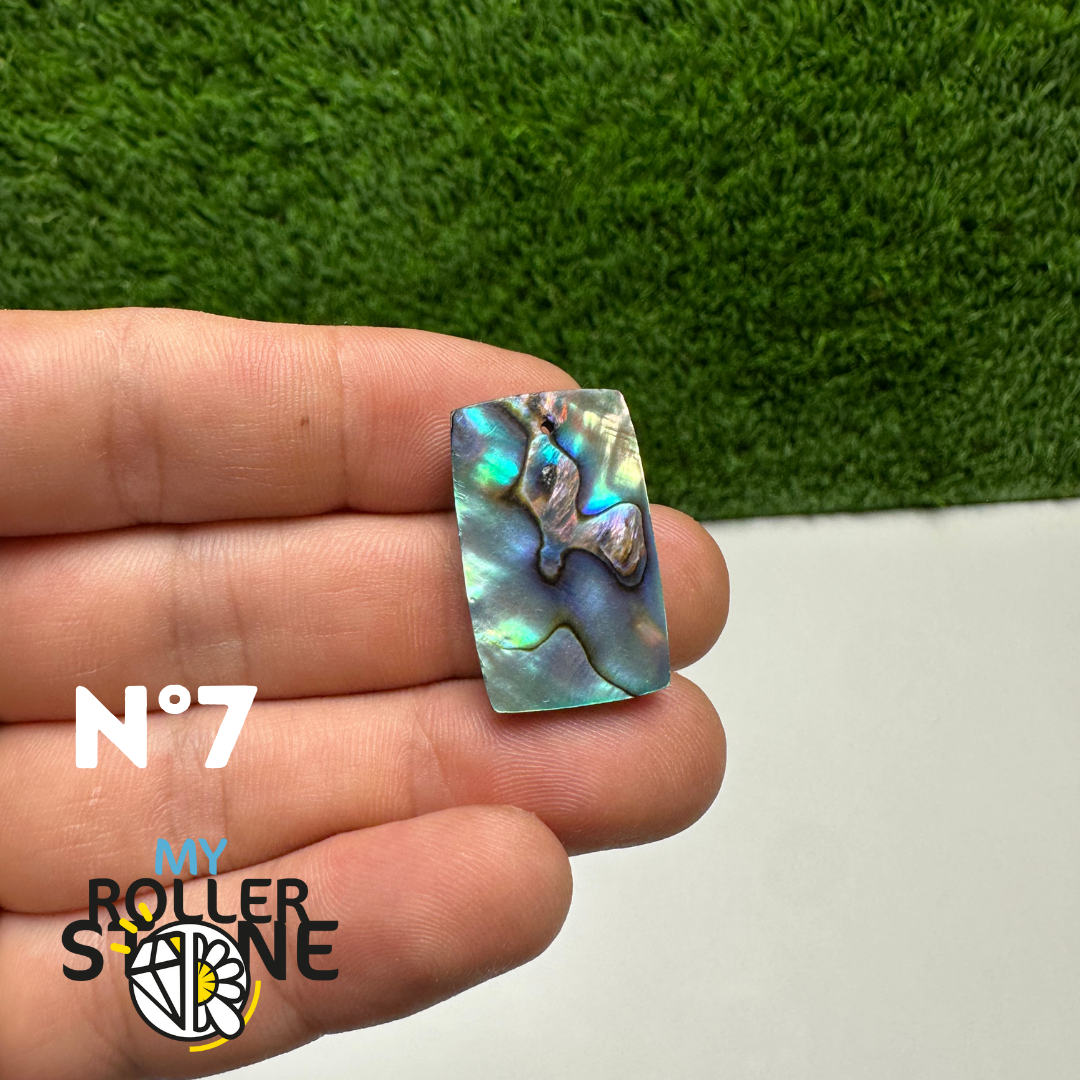 Pendentifs en Abalone Forme Libre 5A - 7