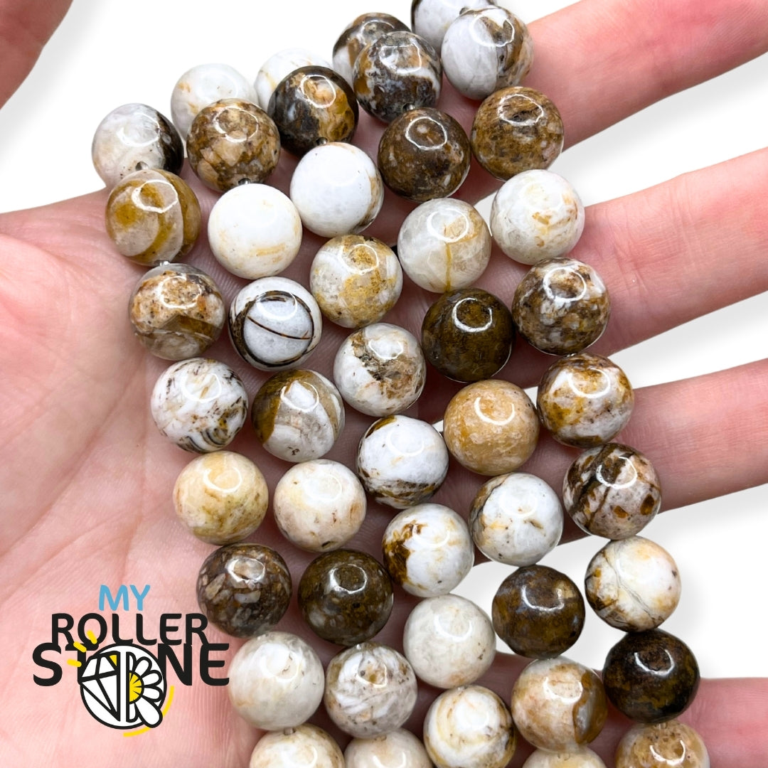 Perle bois pétrifié (Amérique du nord) - 10MM - Perles