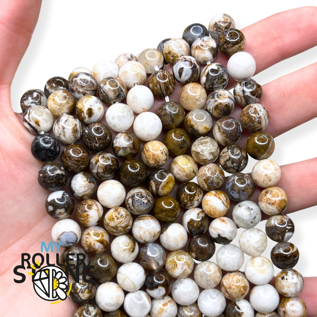 Perle bois pétrifié (Amérique du nord) - 6MM - Perles