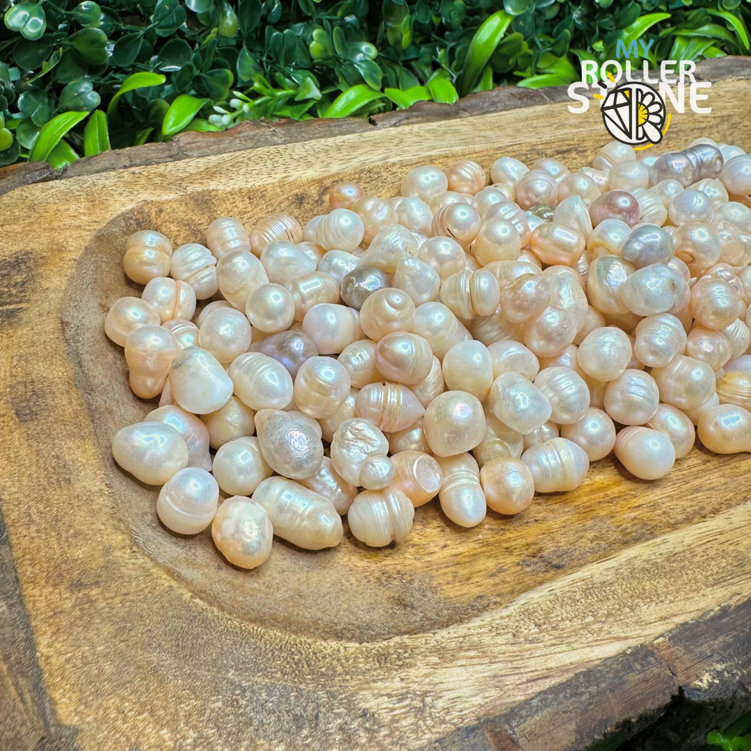 Perle d’Eau douce - Pierres et fossiles