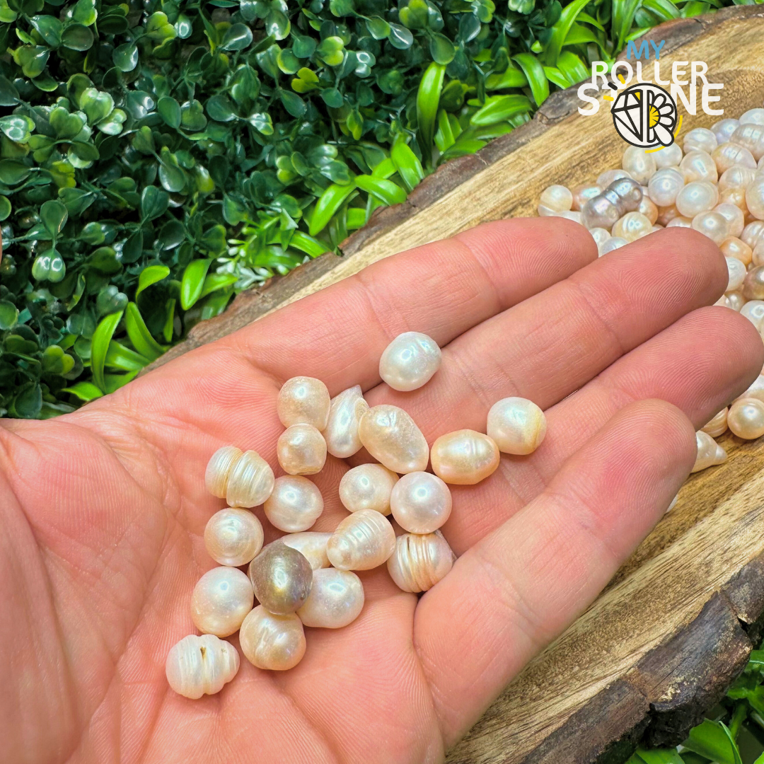 Perle d’Eau douce - Pierres et fossiles