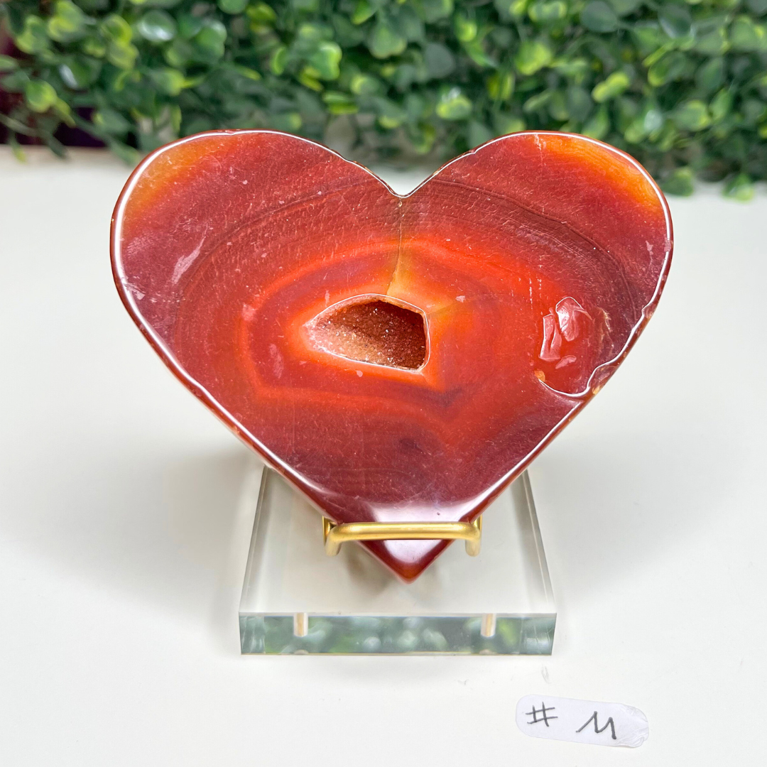 Pierre Coeur Cornaline #11 + Support Offert - Pierres et fossiles