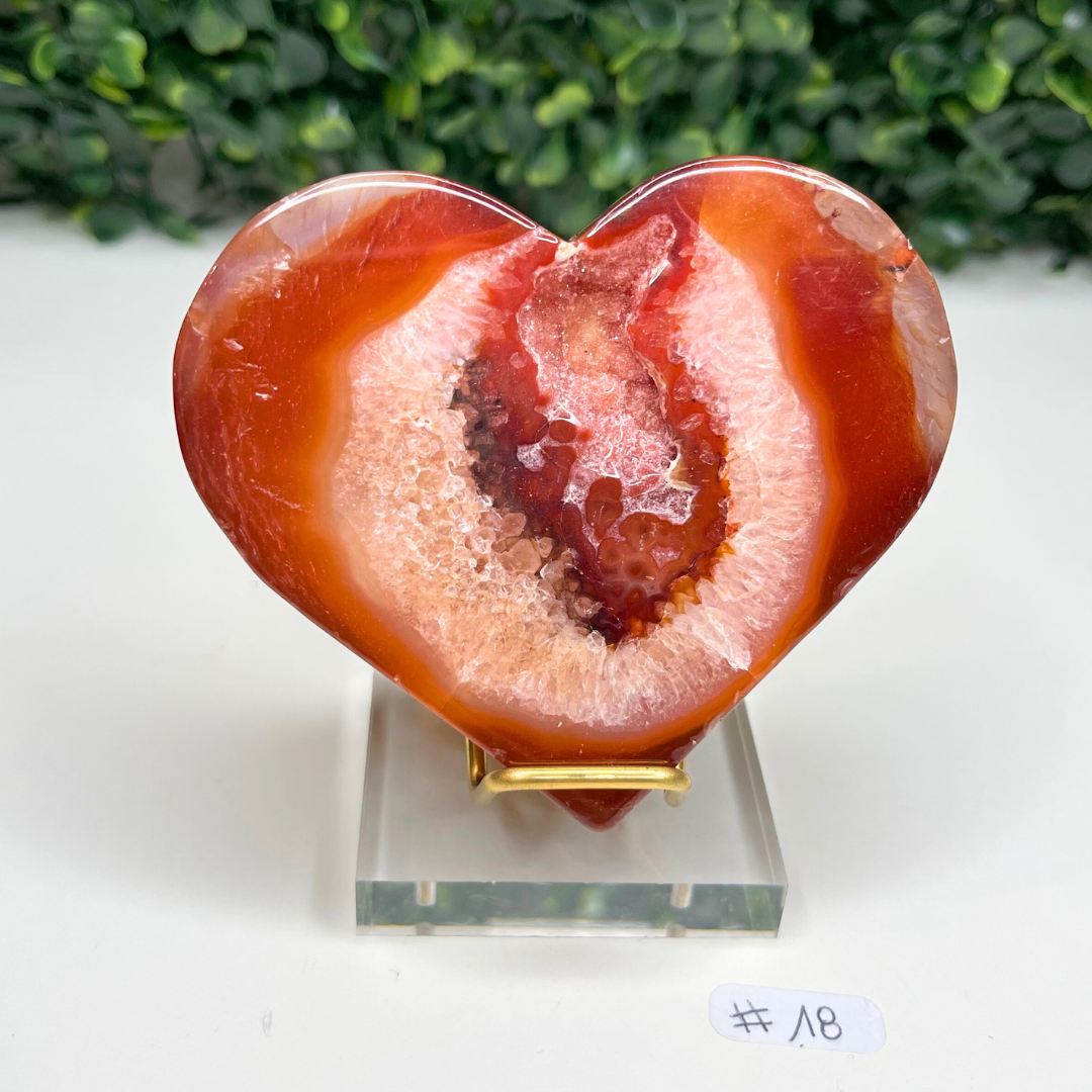 Pierre Coeur Cornaline #18 + Support Offert - Pierres et fossiles