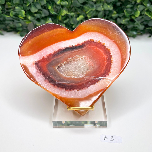 Pierre Coeur Cornaline #3 + Support Offert - Pierres et fossiles