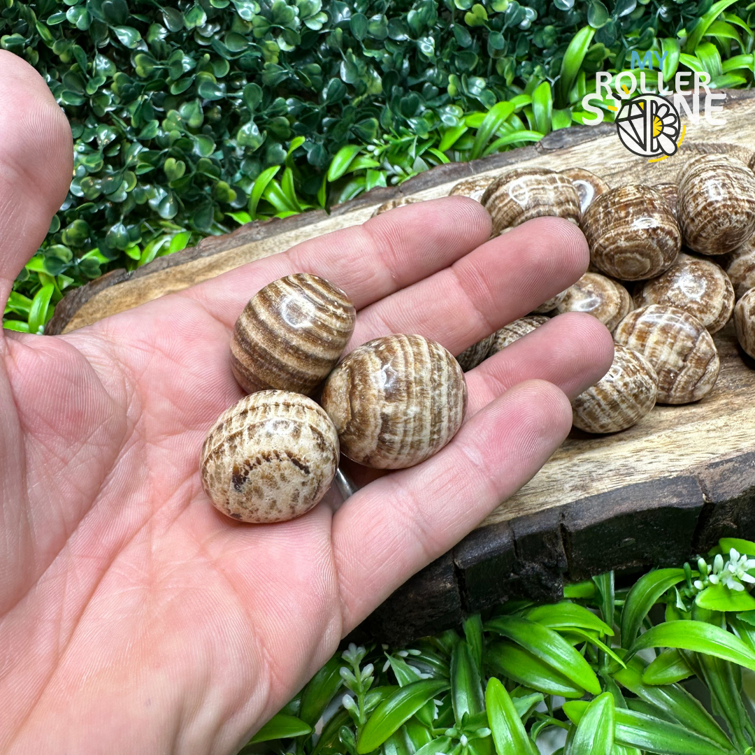 Pierre Roulée Aragonite - Pierres et fossiles